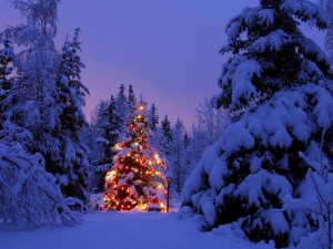 Buone Feste !