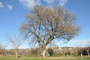 foto2