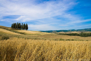 paesaggio2