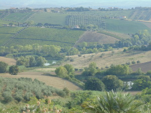 13 TERRITORIO11