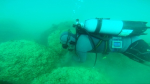 Sub in azione su Oasi Marina Giulianova Cologna
