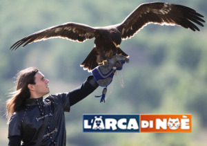 Falconeria Civitella