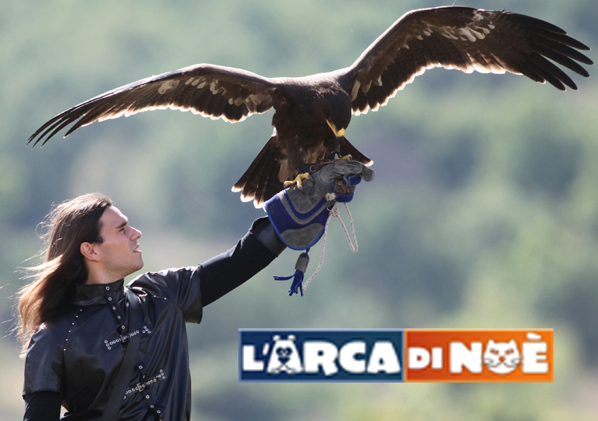 Falconeria Civitella
