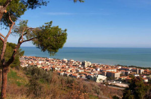 comune-di-pineto