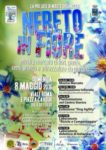 NeretoinFiore2016