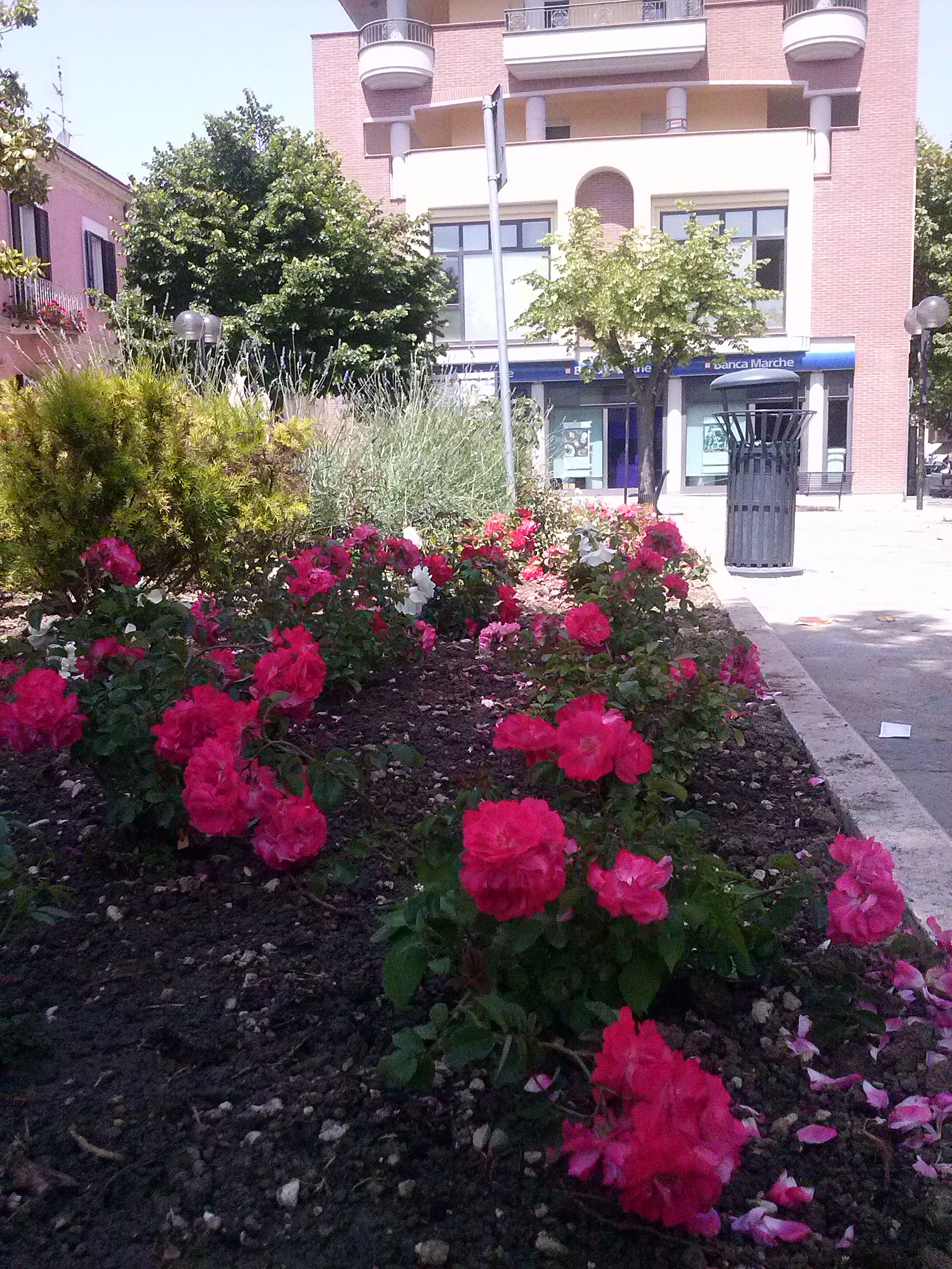 addobbi floreali in piazza Fosse Ardeatine