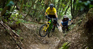 mtb trail