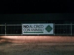 no al circo animali