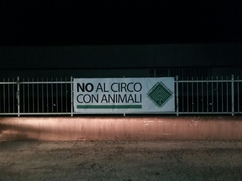no al circo animali