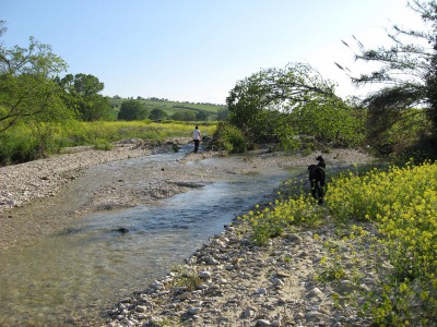 fiume vibrata