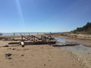 pineto alluvione