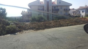 area-bonificata-nei-pressio-dello-stadio