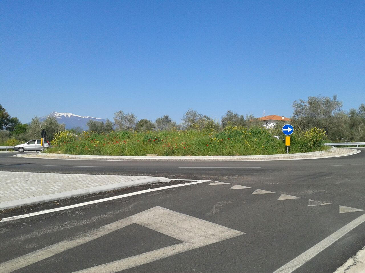 rotatoria nereto