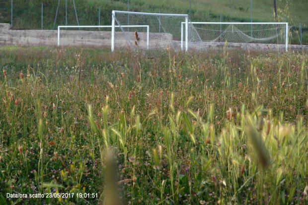 campo sportivo colonnella 1