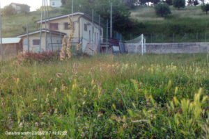 campo sportivo colonnella