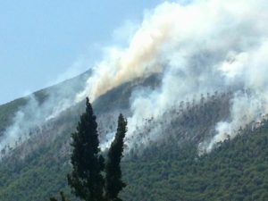 incendio foltrone
