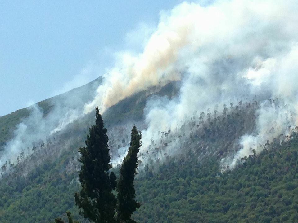 incendio foltrone