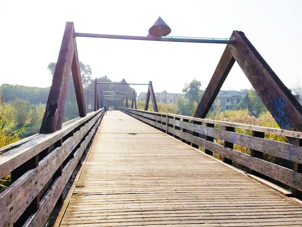Ponte salinello