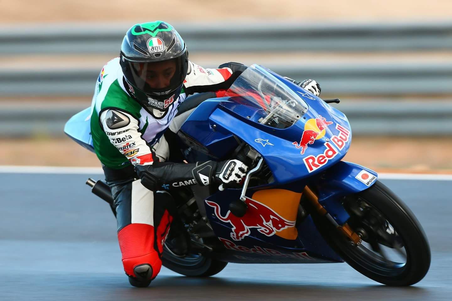 MATTEO PATACCA_1