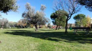 Parco comunale Cerasari di Via del Campetto