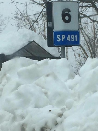 neve