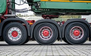 Tortoreto, denunciato autotrasportatore e negoziante per frutta sottratta