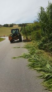 Sfalcio dell’erba sulle provinciali: 200 mila euro per le ditte esterne