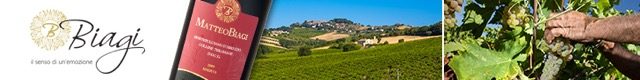 cropped-VINI-BIAGI-BANNER-VAL-VIBRATA-LIFE-1.jpg
