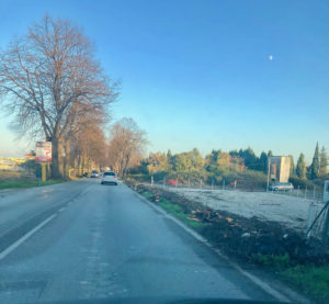 Alberi da tagliare sulla 259: interviene anche il sindaco di Colonnella Pollastrelli