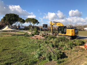 L'Anas riprende il taglio dei pini all'altezza del Brico Center