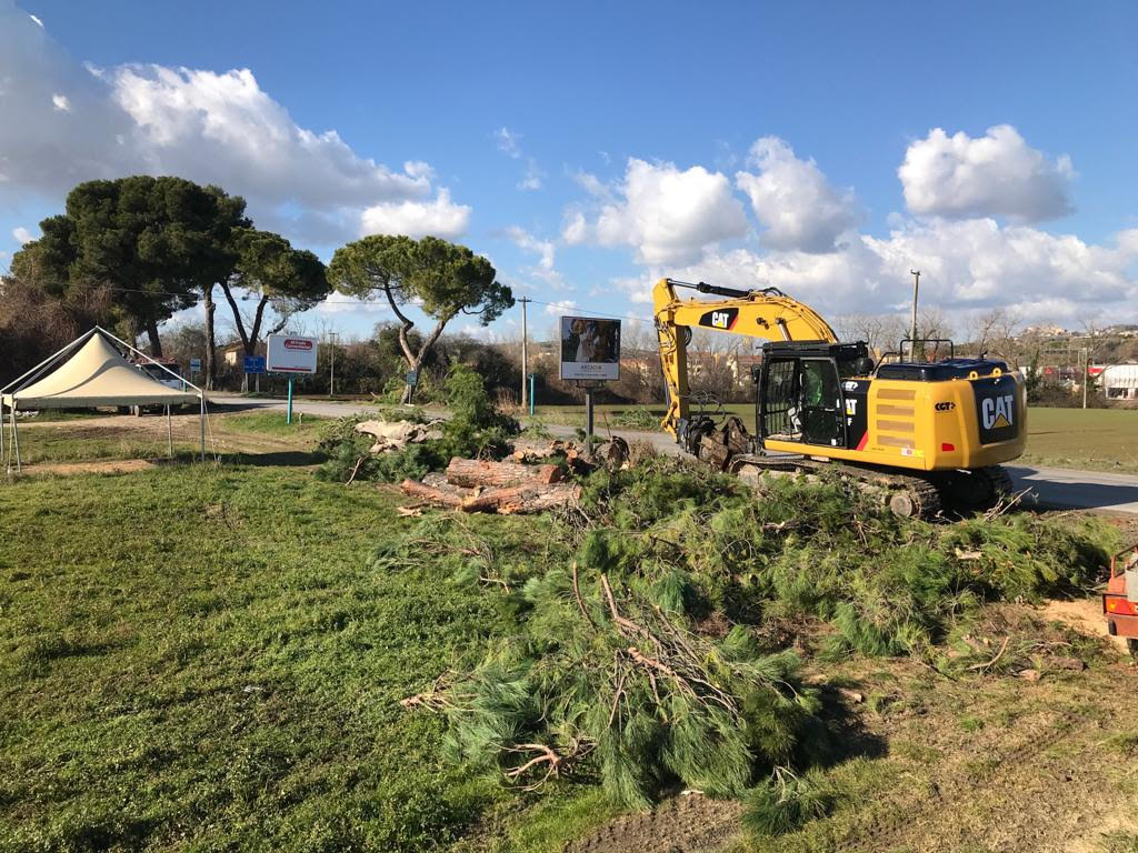 L'Anas riprende il taglio dei pini all'altezza del Brico Center
