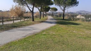 Terminati i lavori di pulizia sulla passeggiata lungo il fiume Vibrata
