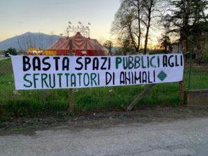 Sant'Egidio, stop ai circhi con animali sul suolo comunale: ecco lo striscione