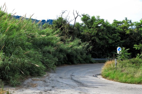 Colonnella, il disastro delle strade provinciali: la denuncia FOTO