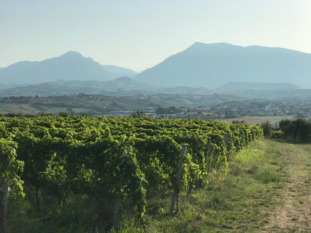 Antenna Torano Nuovo, anche il Consorzio Vini Colline Teramane dice no