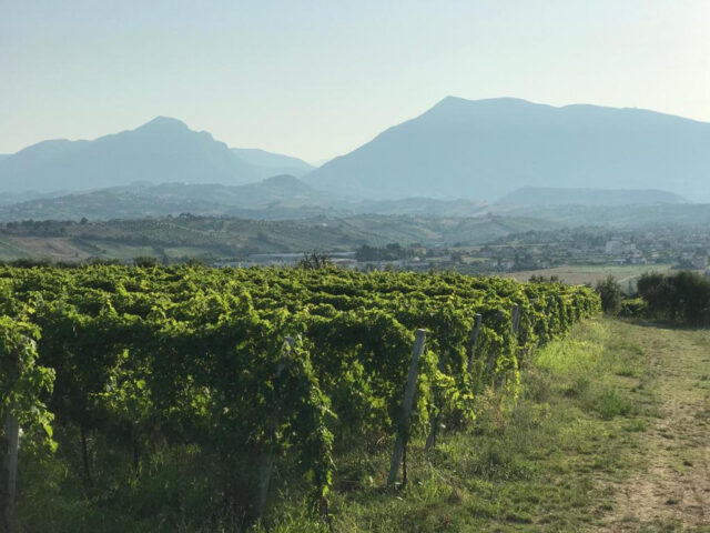 Antenna Torano Nuovo, anche il Consorzio Vini Colline Teramane dice no