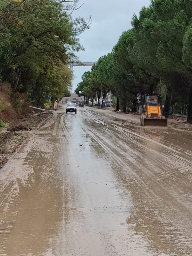 Detriti e fango sulle strade, per la Provincia è "Colpa dei campi non curati"