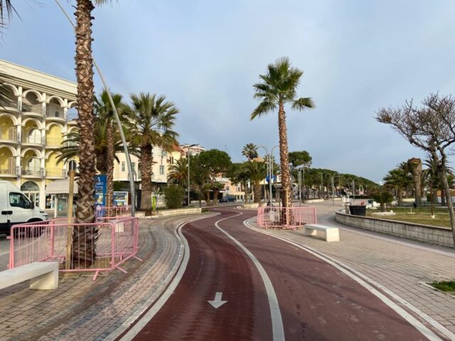 Tortoreto, sei nuove palme nella rotonda Carducci