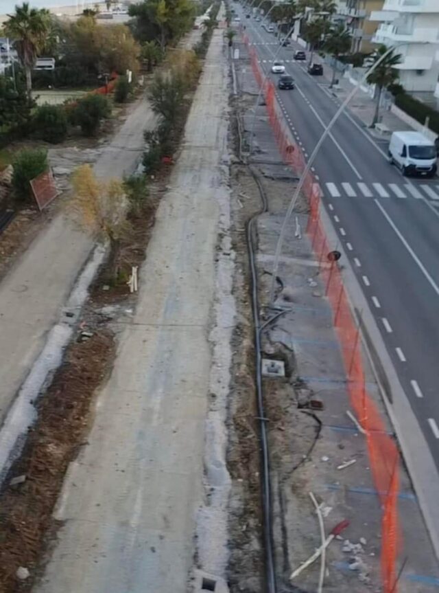 Alba, taglio pioppi: il comitato Conalpa chiede perizia urgente