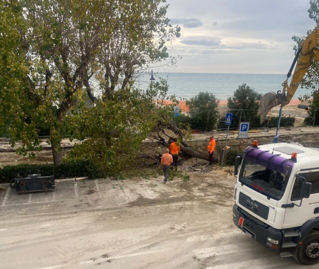 https://www.valvibratalife.com/lungomare-alba-adriatica-nessuno-stop-dalla-soprintendenza/