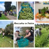 Giulianova, “Festa del raccolto” al centro diurno