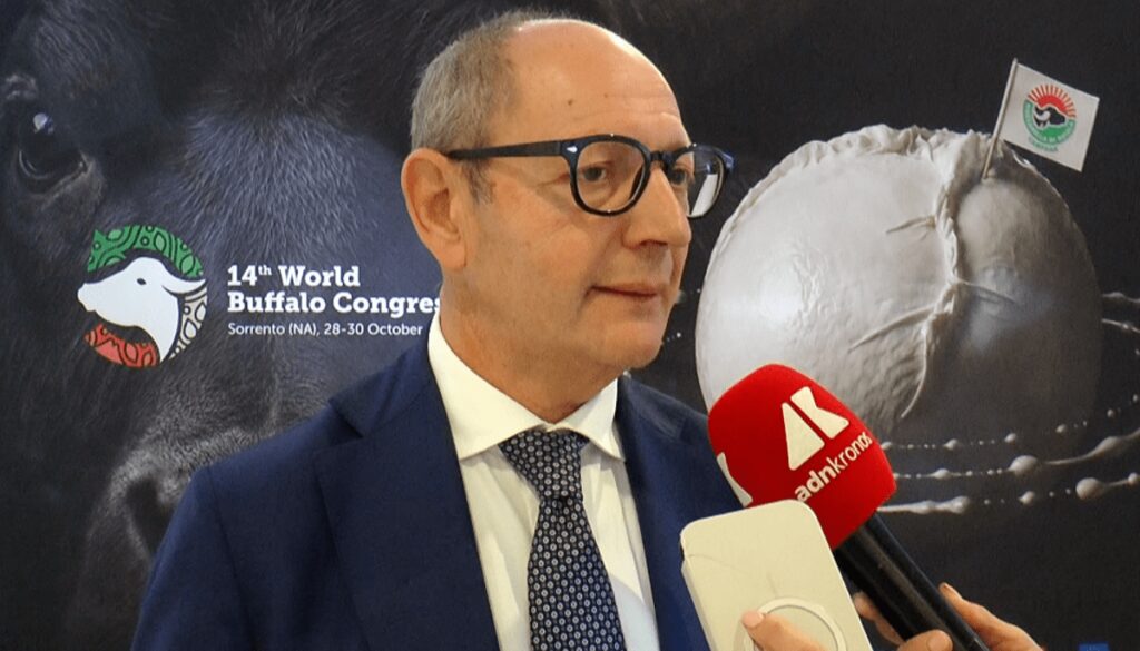 Raimondo (Tutela mozzarella bufala campana Dop): “Filiera 1,2-1,3 mld, quasi una Fiat”